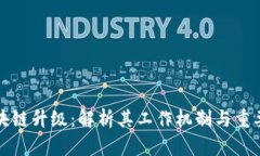 区块链升级：解析其工作机制与重要性