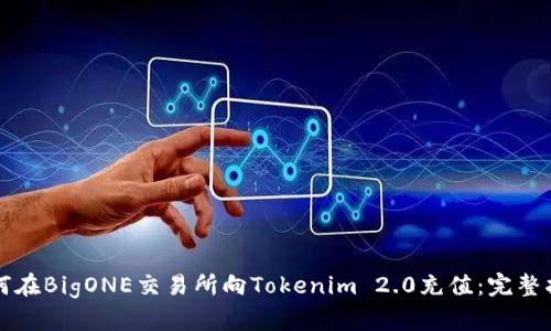 如何在BigONE交易所向Tokenim 2.0充值：完整指南