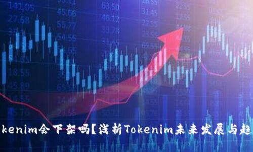 Tokenim会下架吗？浅析Tokenim未来发展与趋势