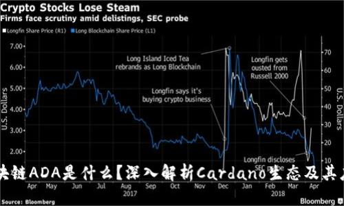 区块链ADA是什么？深入解析Cardano生态及其应用