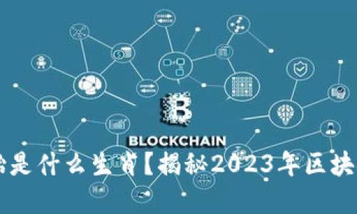 区块链的双胞胎是什么生肖？揭秘2023年区块链与生肖的关系