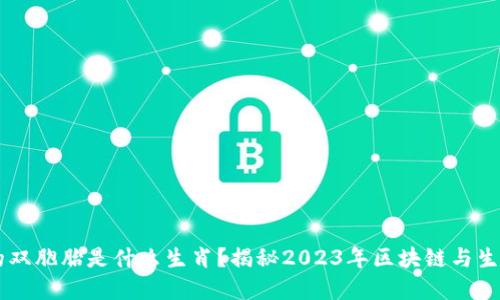 区块链的双胞胎是什么生肖？揭秘2023年区块链与生肖的关系