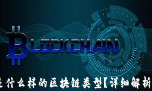 
RPFS是什么样的区块链类型？详细解析与应用